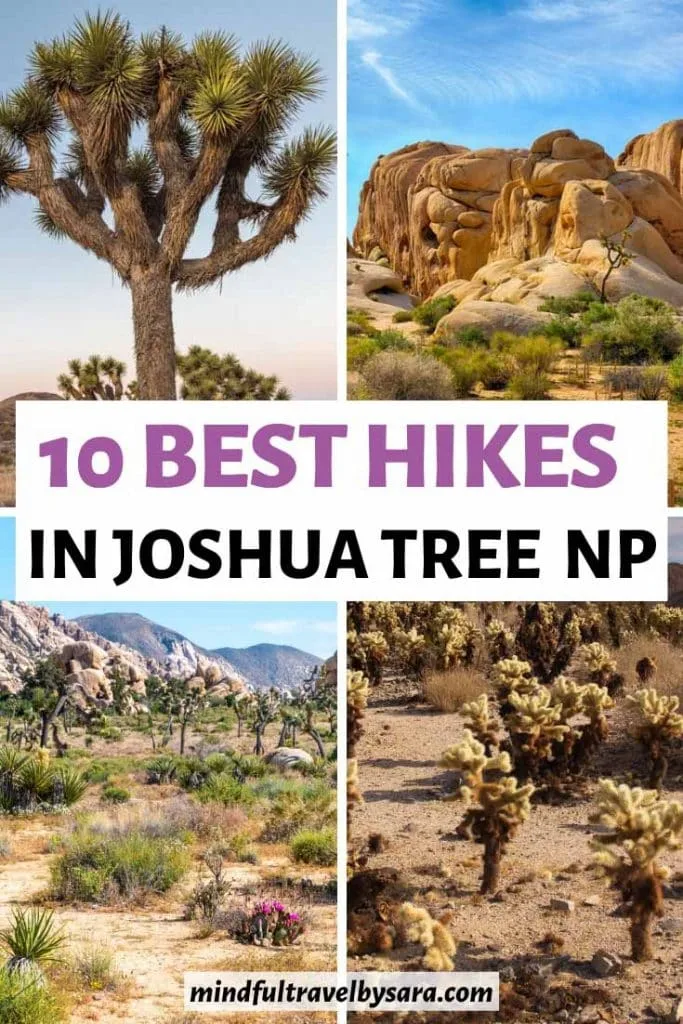 10 Best Hikes in Joshua Tree National Park