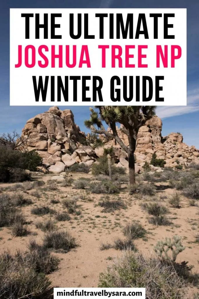 Joshua Tree in Winter: The Ultimate Guide + Tips!