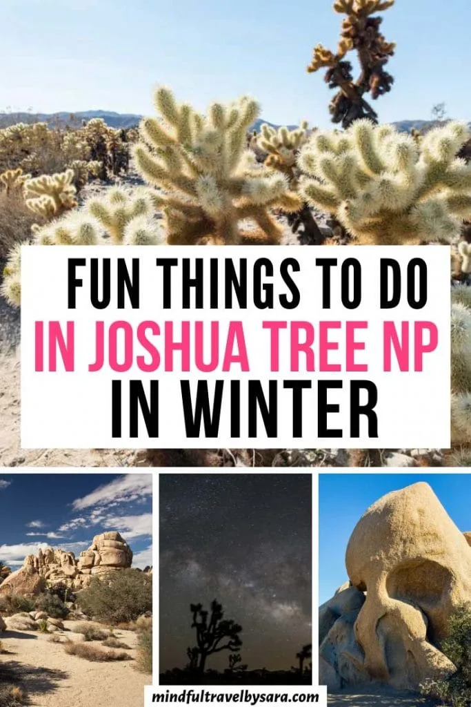 Joshua Tree in Winter: The Ultimate Guide + Tips!