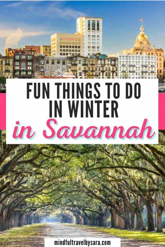 Savannah in Winter Pin 2 683x1024