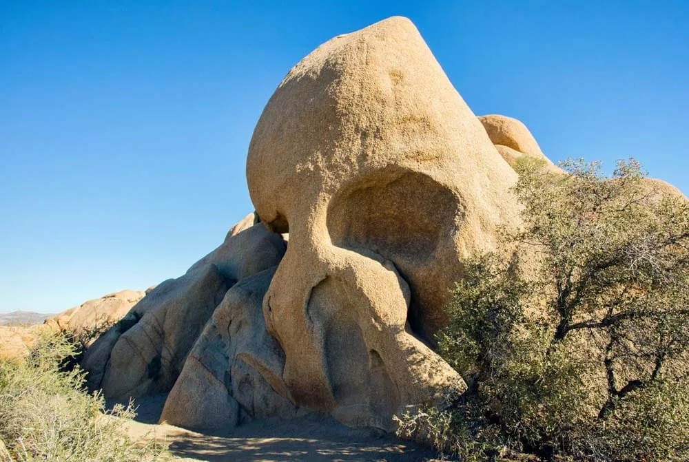 Skull Rock Joshua Tree National Park california