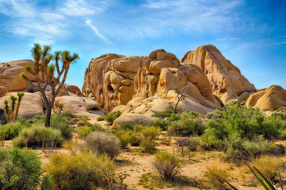 Hidden Valley is one of the best hiking trails in Joshua Tree