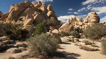 Exploring the Hidden Valley is one of the best things to do in Joshua tree in winter