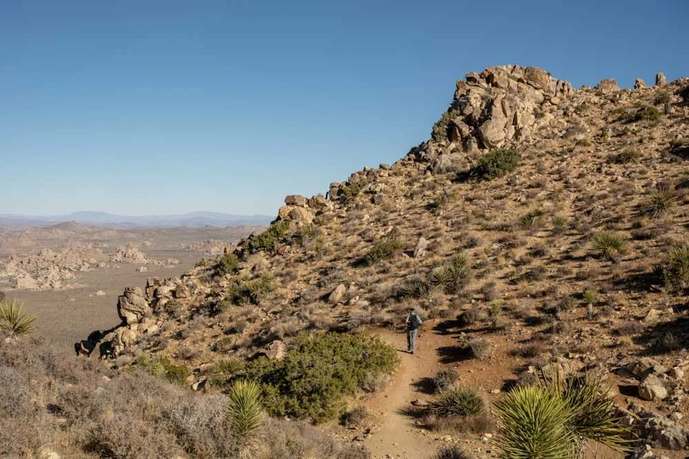 ryan mountain trail joshua tree california