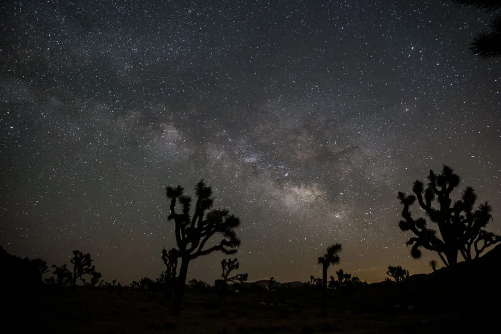 stargazing joshua tree national park california