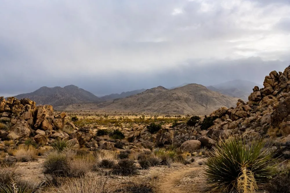 stormy clouds winter joshua tree national park california