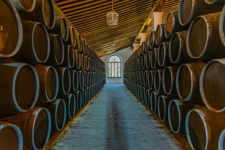 Bodega de Vino de jerez