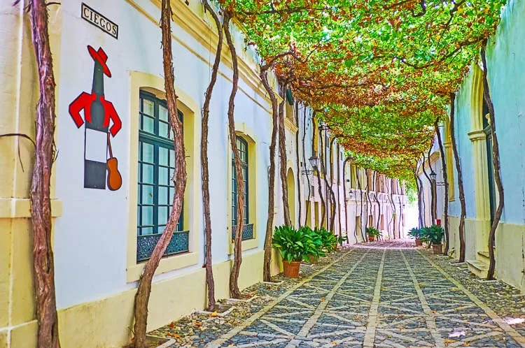 Bodejas de jerez de la Frontera