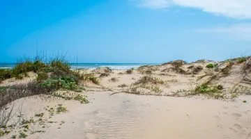 South Padre Island is one of the Texs islands for a sping break