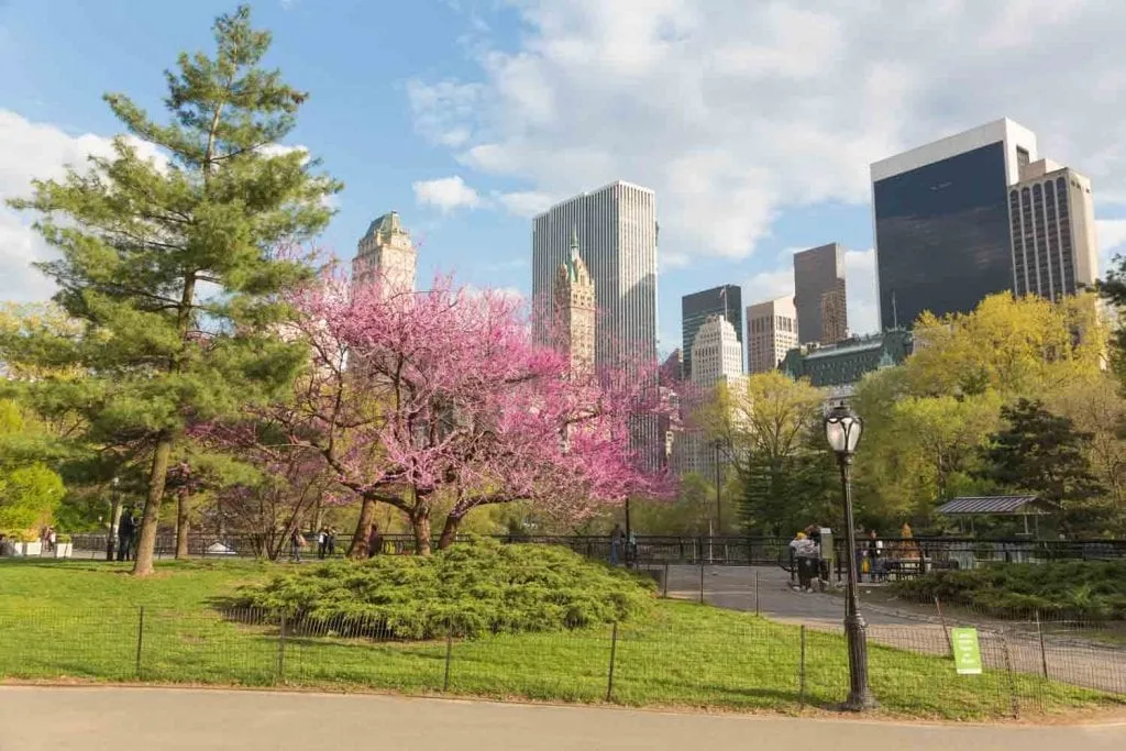Spring in New York City: 6 Blissful Activities in the Big Apple