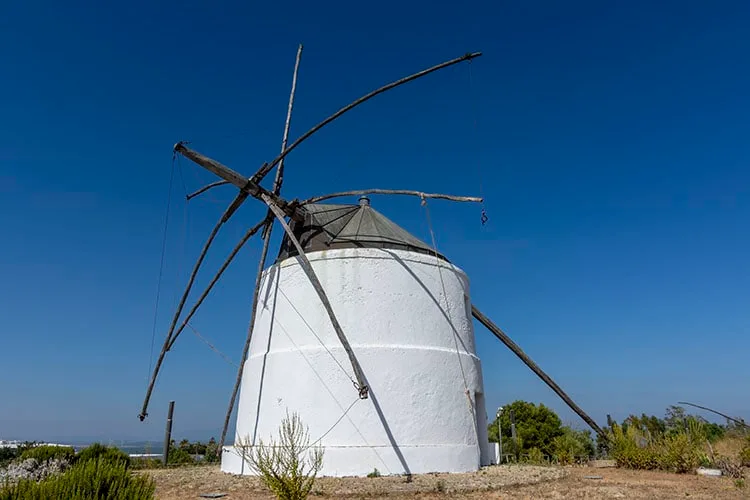 molino jerez
