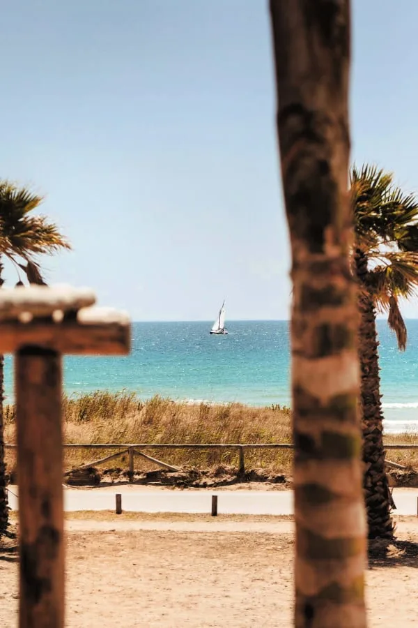 Playa de El Palmar en Vejer de la Frontera