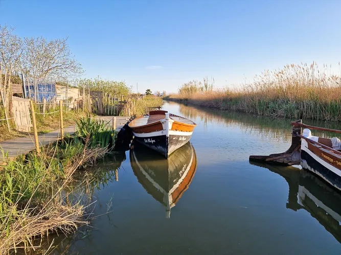 albufera valencia paseo en barca