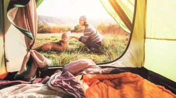 Guia para Viajar con perro por España