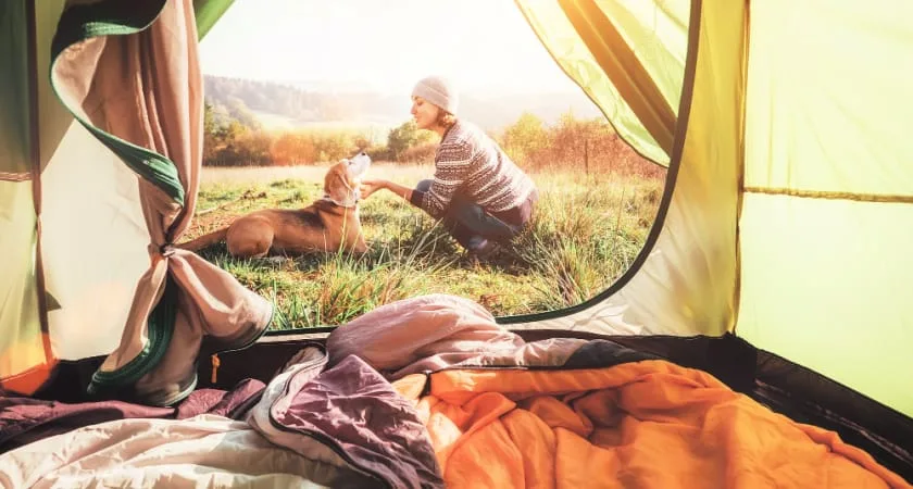 Viajar con perro por España: Destinos petfriendly, playas, consejos, ¡y más!