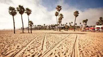 Fun things to do in Santa Monica