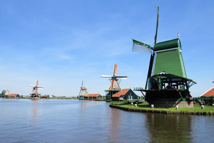 excursión molinos Ámsterdam