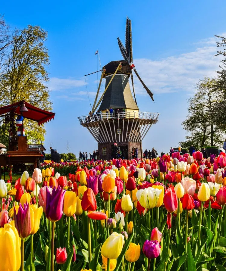 excursiones desde Amsterdam por libre