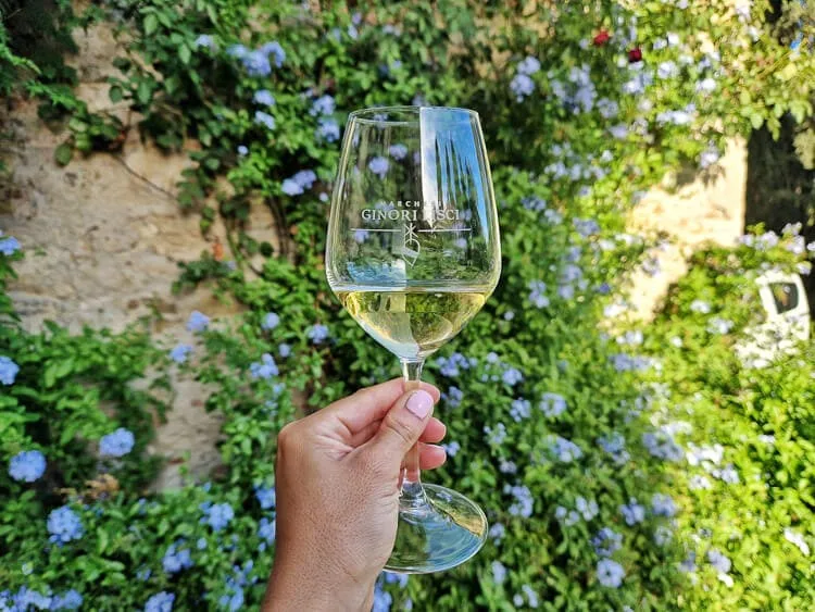 Cata de Vino en Querceto