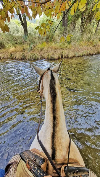 sierra de cazorla que ver