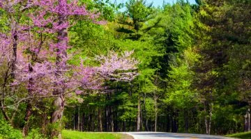 Fun Things to Do in the Buckeye State in Spring