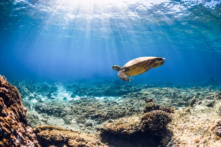 Bali and Gili islands 2 week itinerary