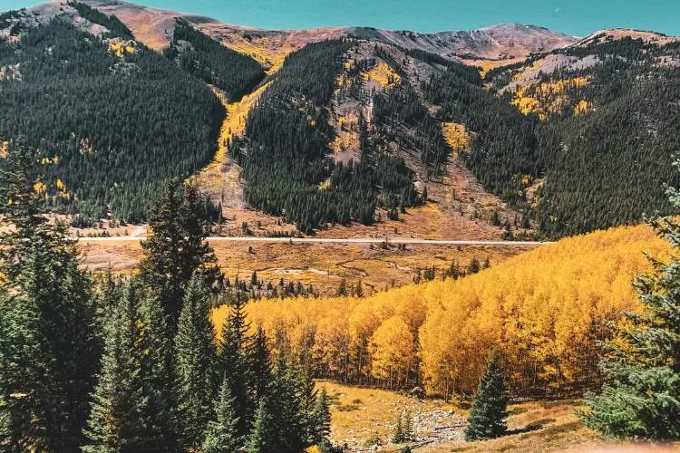 collegiate peak hiking trail