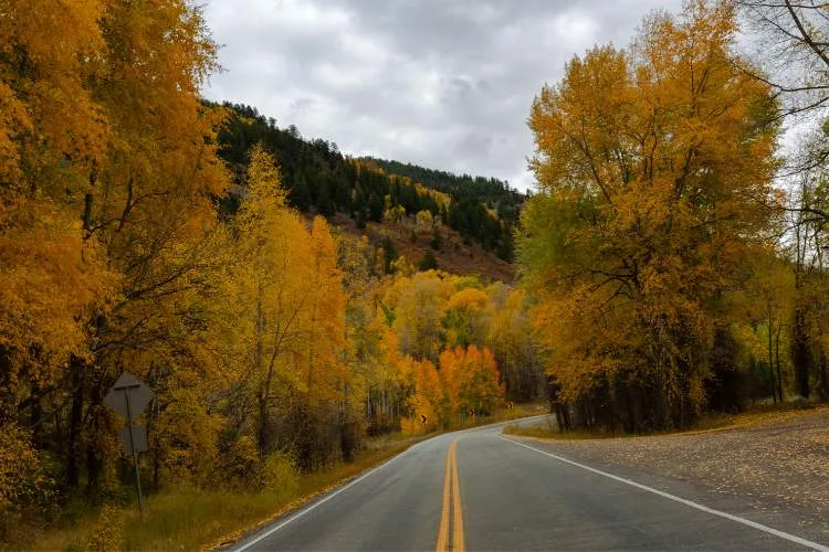 fall foliage in colorado