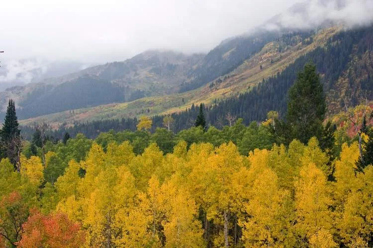rocky mountains fall