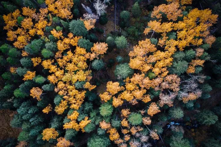 trail ridge road colorado