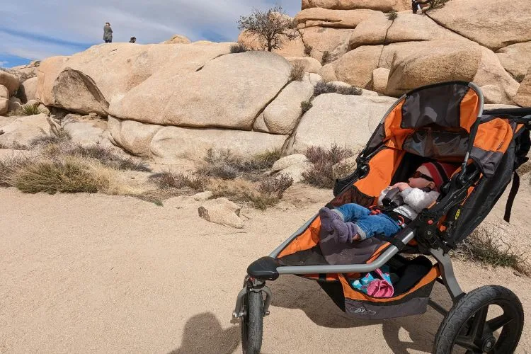 Baby on Barker Dam Trail