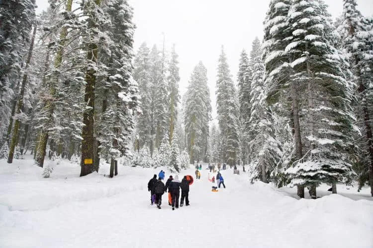 High Sierra California