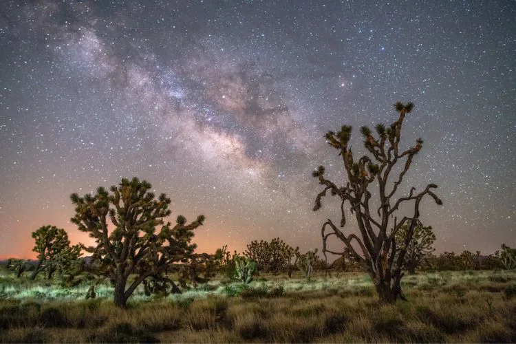 Milky Way over Joshua Tree national park