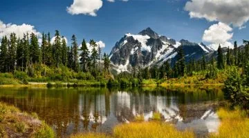 Mount Baker National Forest