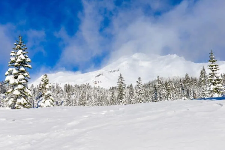 Mt Shasta in the Winter