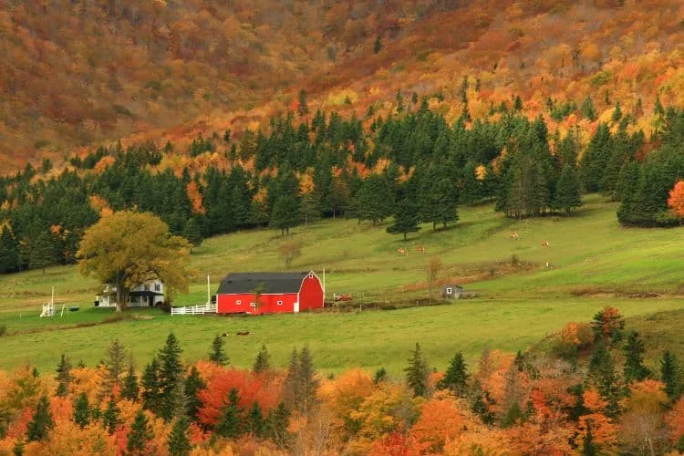 New England