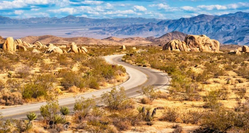 Pinto Basin Road Joshua tree national park