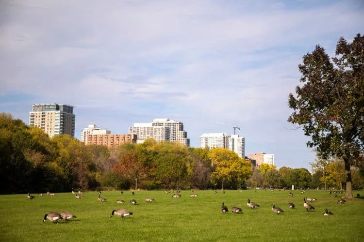 Veterans Park Milwaukee