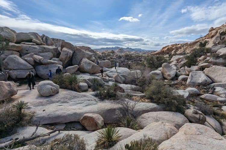 Family with kids enjoying the vista near Barker Dam in Joshua Tree National Park