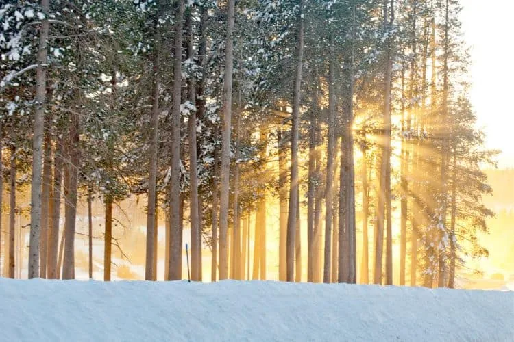 When does it snow in California