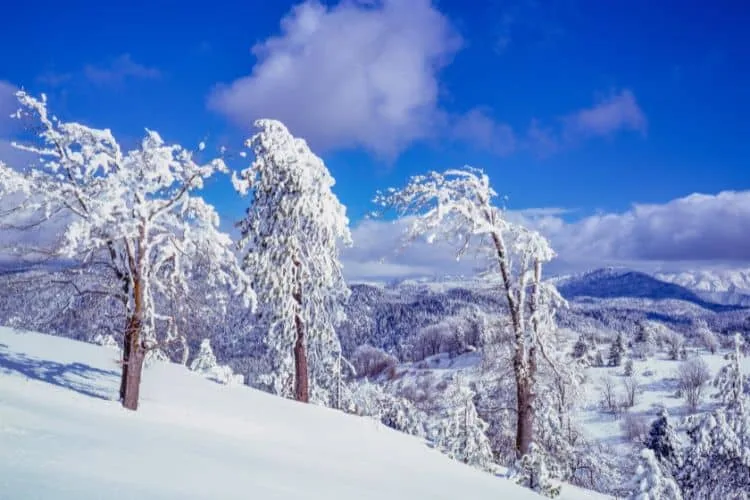 Winter in San Bernardino Mountains