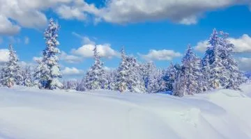 Winter snow at Lake Tahoe California