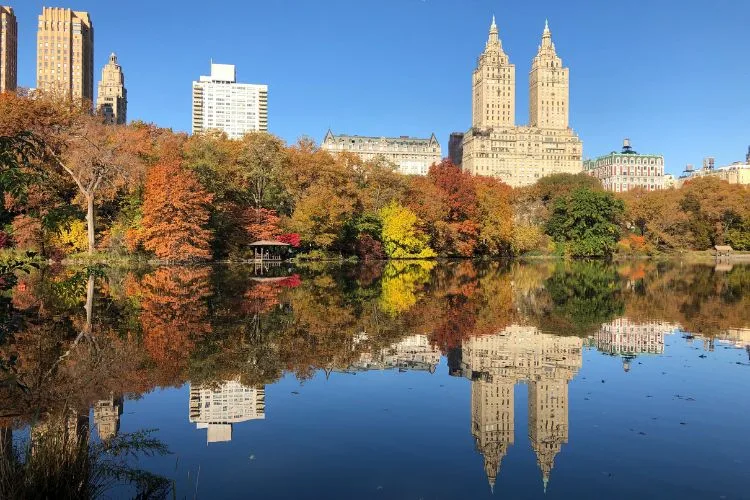 central park new york