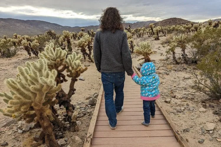 parent and child walking in Cholla Cactus Garden