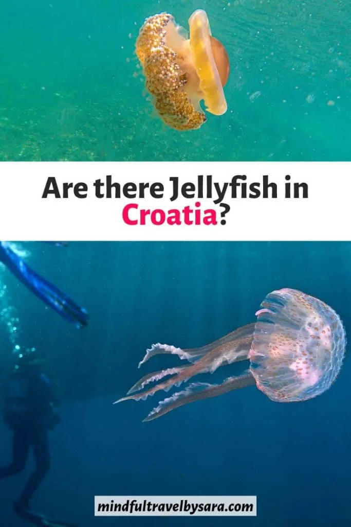 Are there Jellyfish in Croatia?