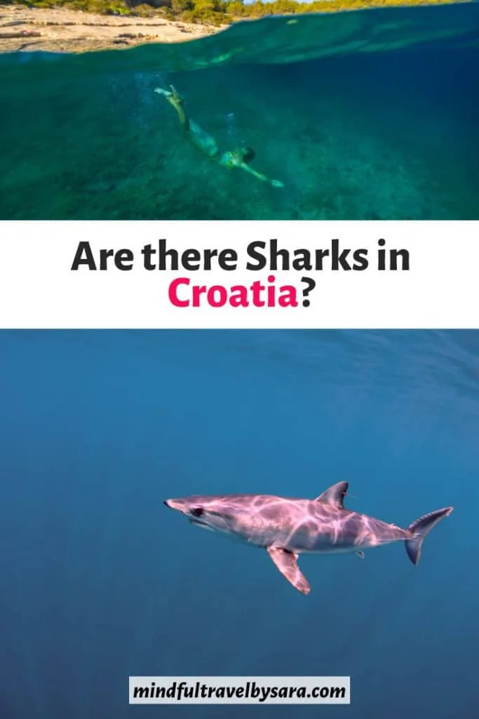 Are there Sharks in Croatia?