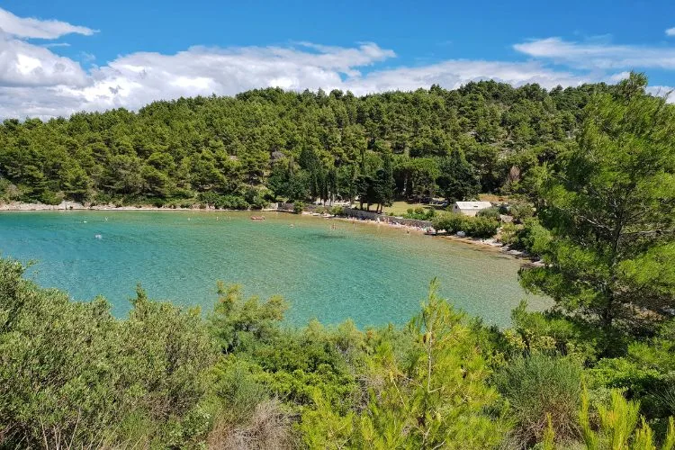Brac island snorkeling