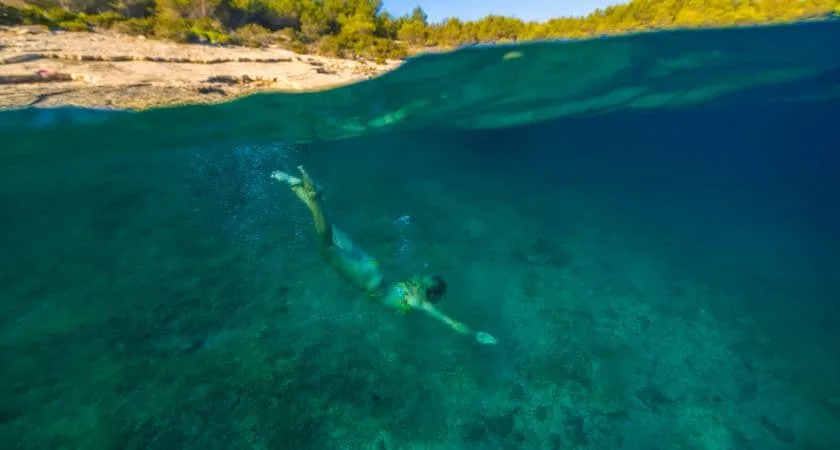 Are there Sharks in Croatia? All You Need to Know (2024)