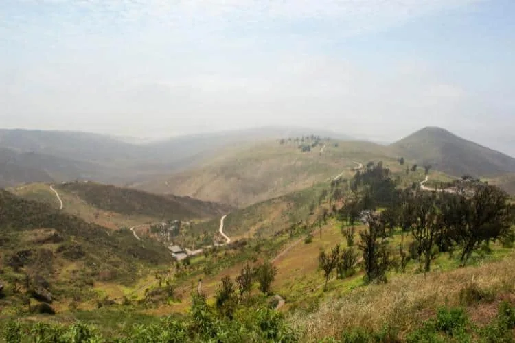 Reserva Nacional de Lachay es uno de los imprescindibles que visitar en Lima