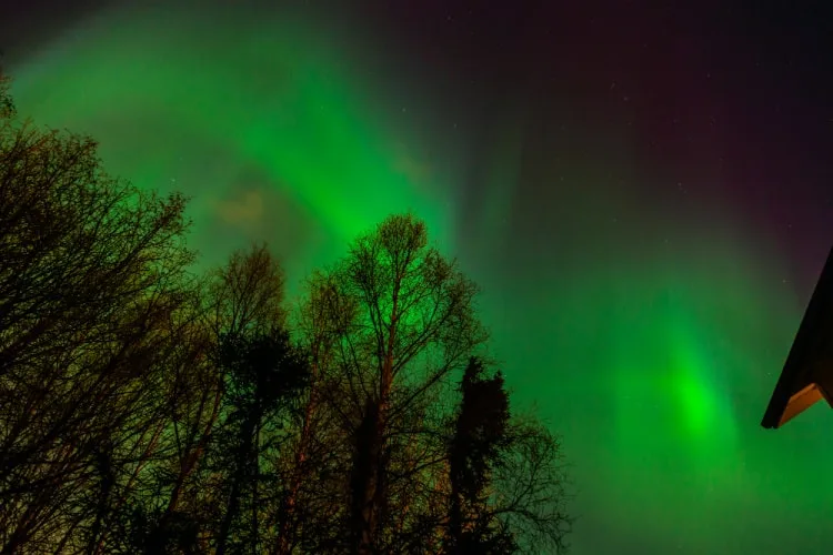 See the northern lights in Anchorage for kids